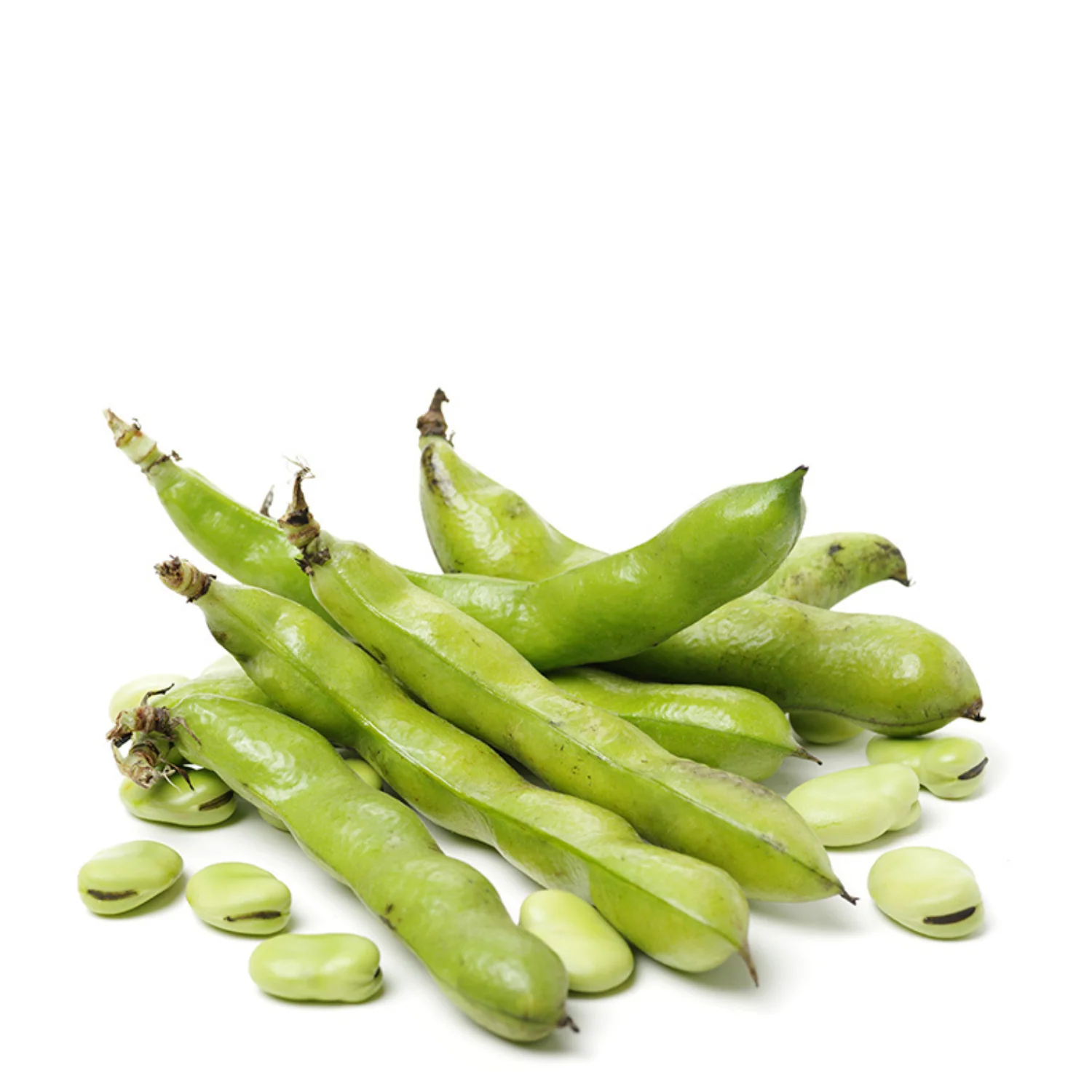 Fava Beans-500g