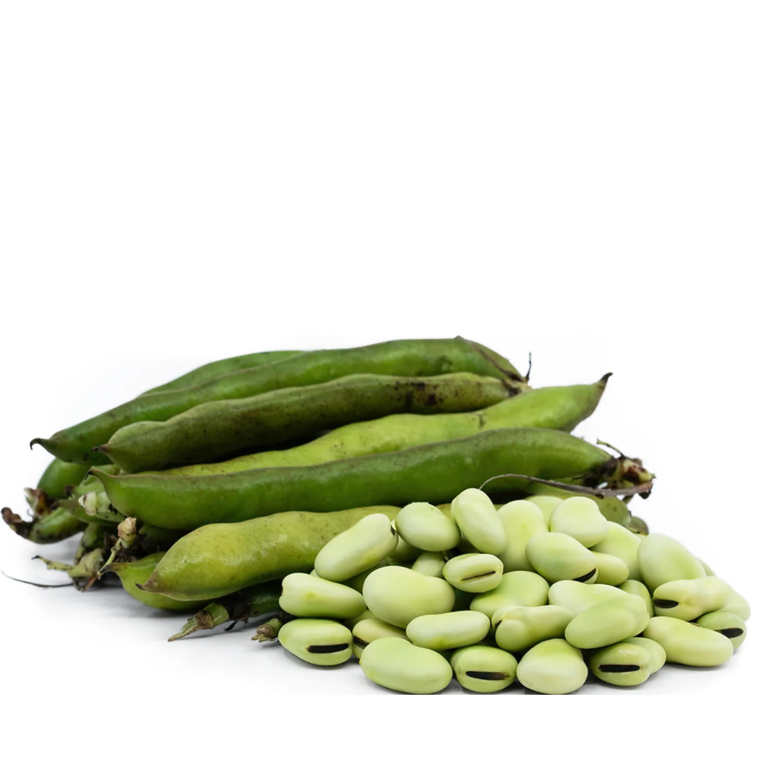 Fava Beans-500g - Image 2