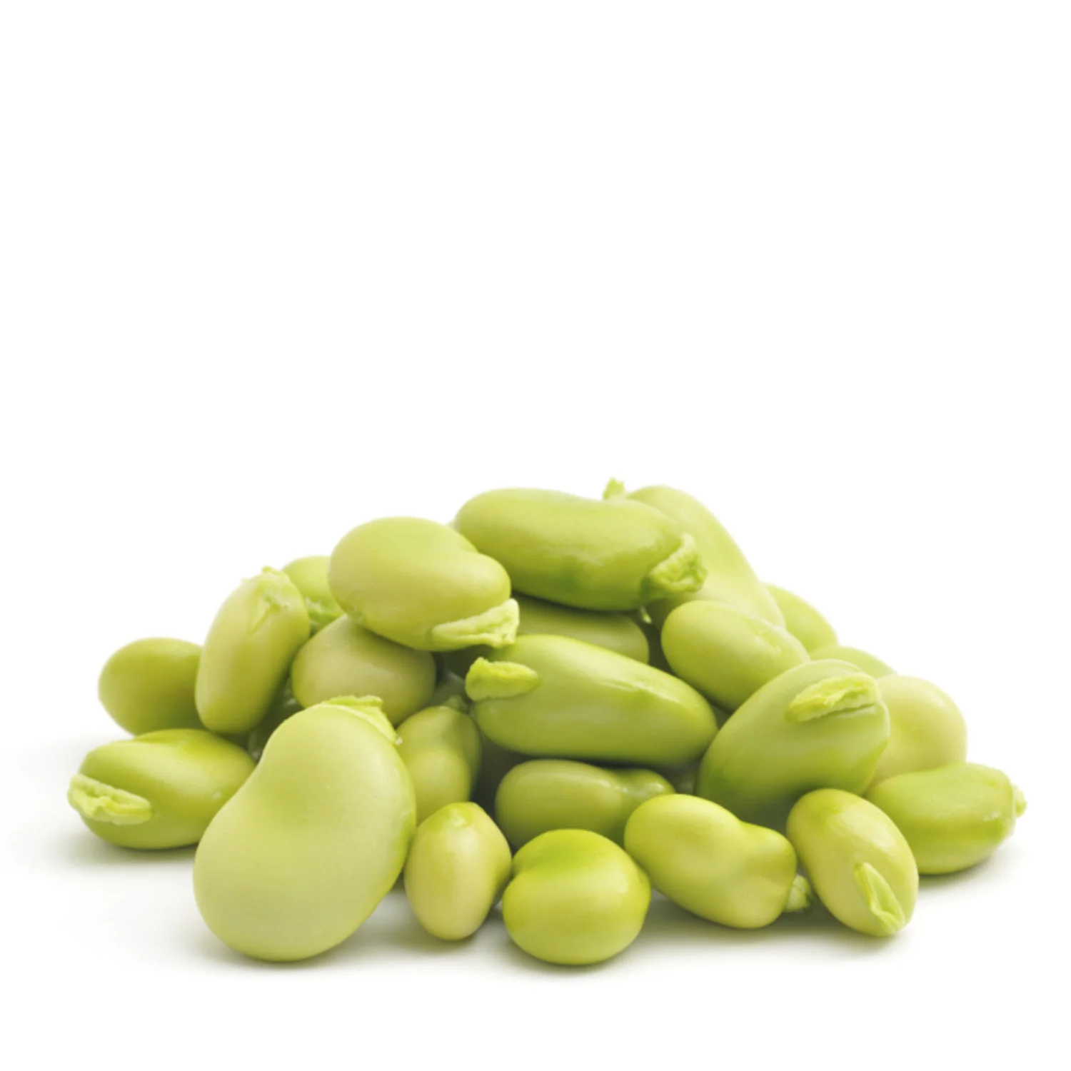 Fava Beans-500g - Image 3