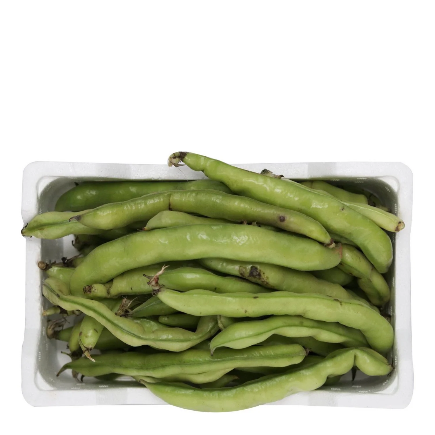 Fresh Fava Beans Pack (Total Weight 1.9kg)
