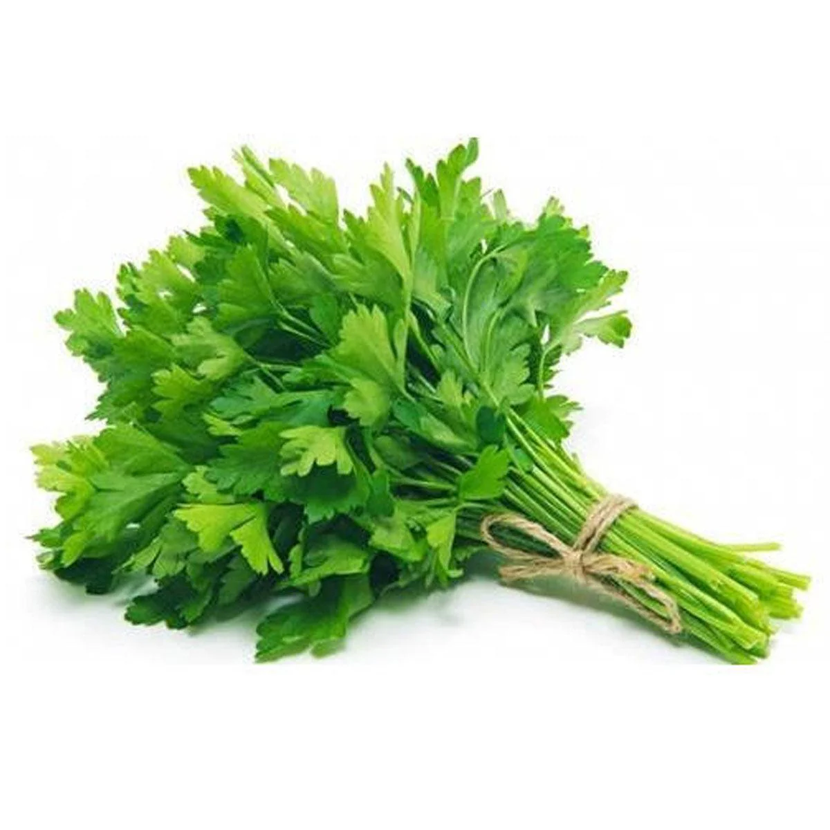 Fresh Parsley - Bunch