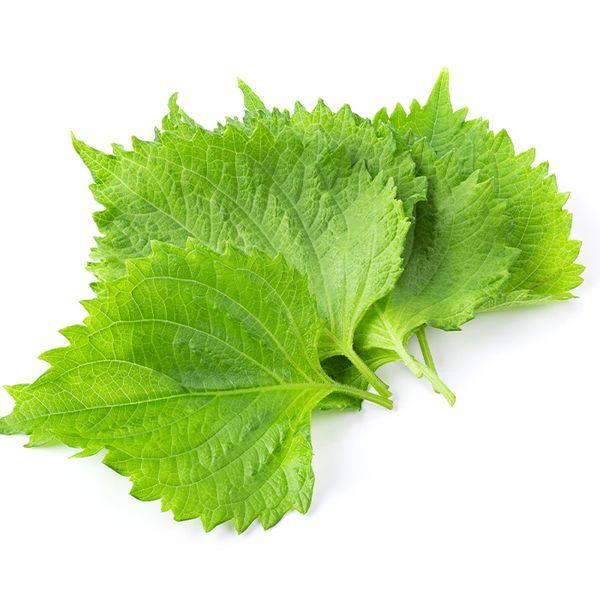 Green Grape Leaves-PKT - Image 2