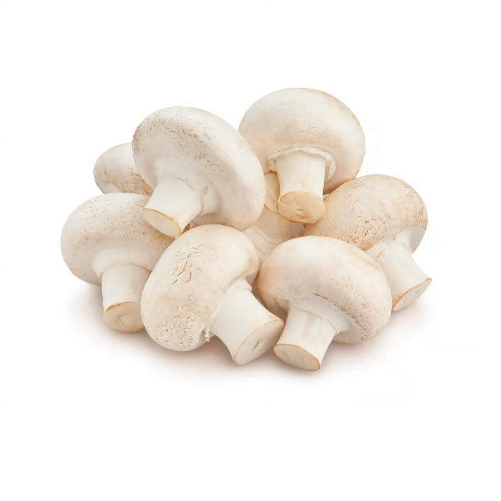 Mushroom Button White Pkt-250g - Image 2